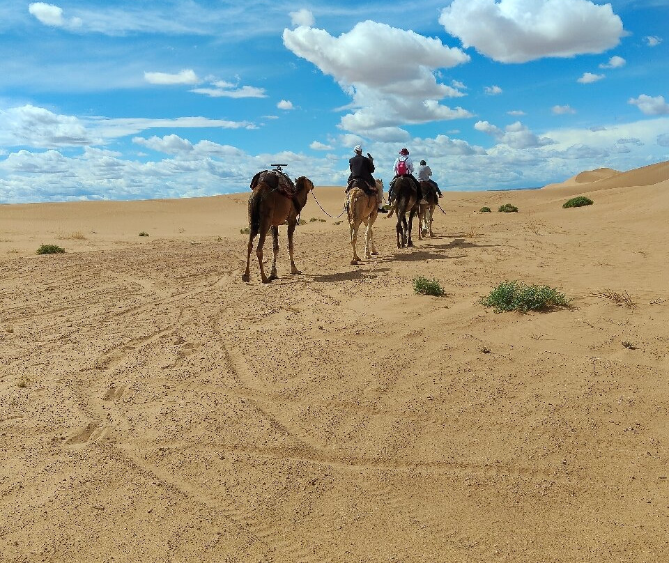 Morocco Excursion Tours-马拉喀什必去景点