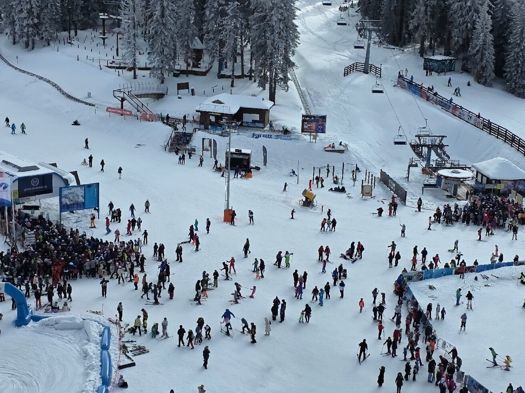 塞尔维亚科帕奥尼克维卡罗伊酒店主图