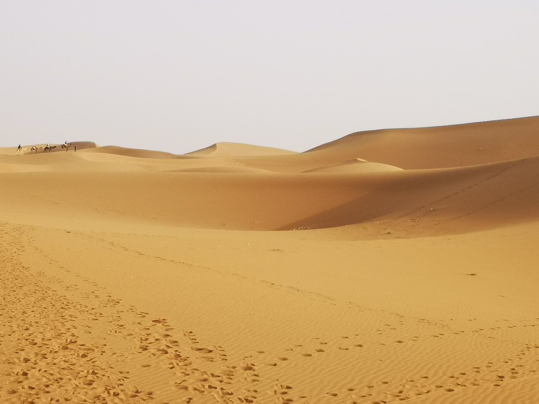 Camp Bivouac Hassi Samra-旅行者