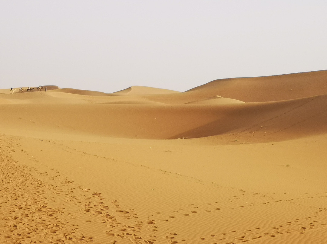 Camp Bivouac Hassi Samra主图