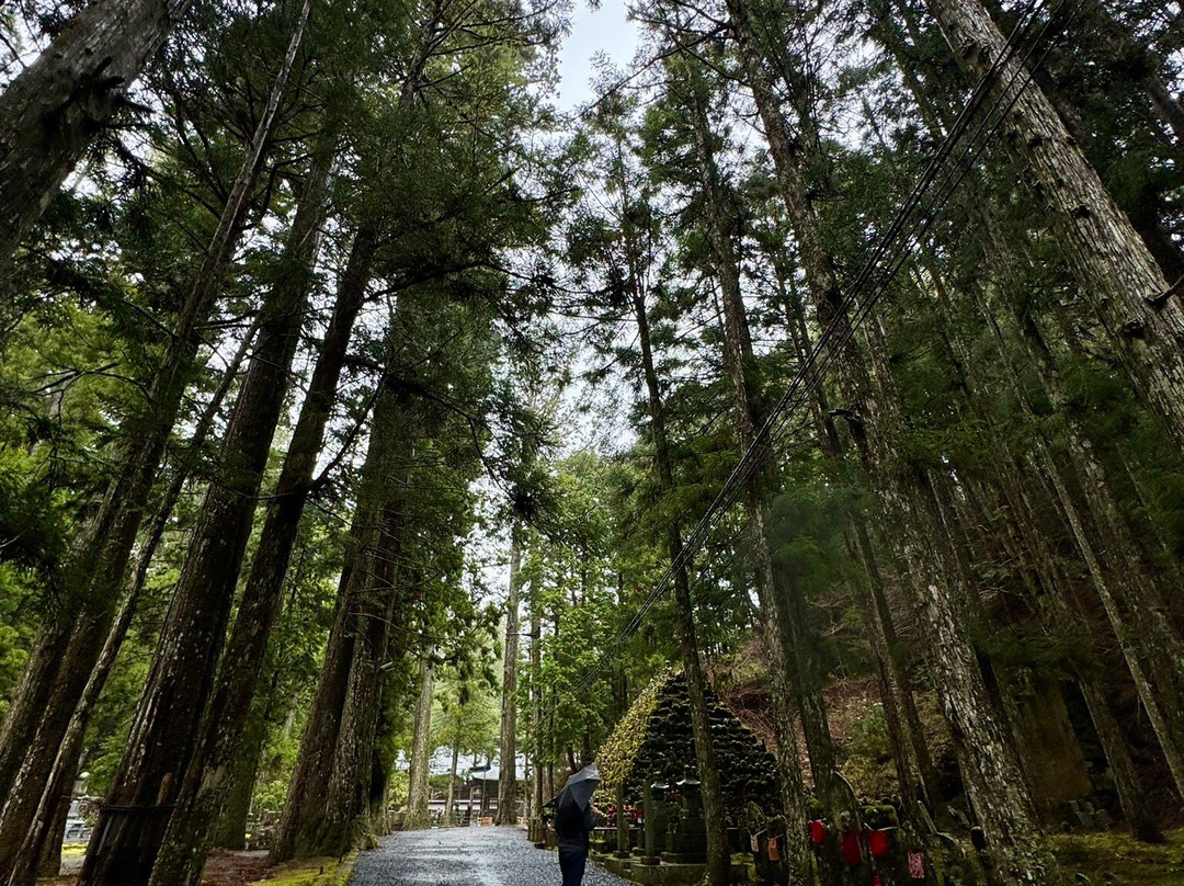 高野山-高野町必去景点