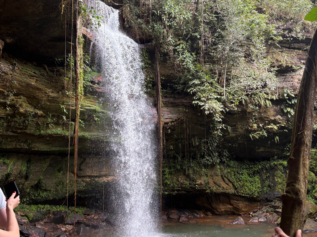 Praia Rica Ecoturismo - expedições personalizadas no Cerrado brasileiro-Palmas必去景点