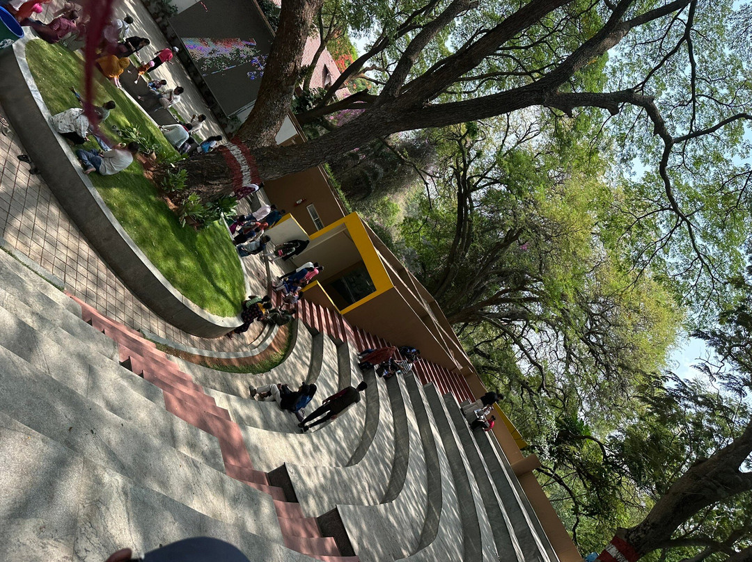 Sri Chamarajendra Zoological Gardens-迈索尔必去景点
