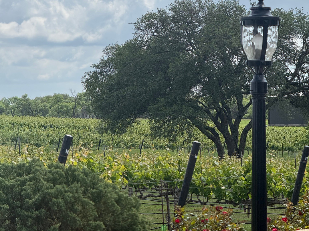 Grape Creek Vineyards Fredericksburg-弗雷德里克斯堡必去景点