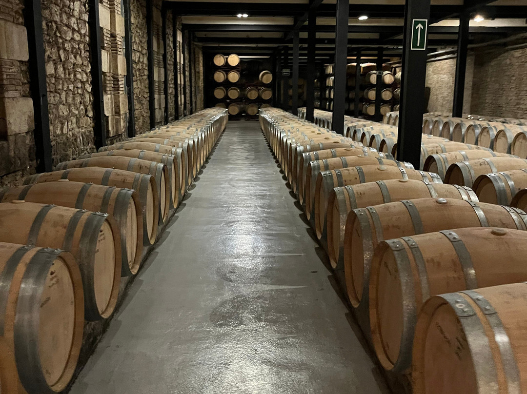 Bodegas Franco Espanolas-洛格罗尼奥必去景点