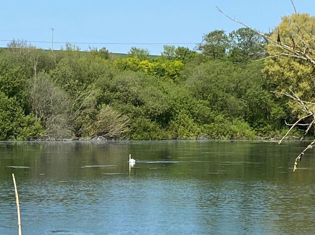 Langford Lakes Nature Reserve-Steeple Langford必去景点