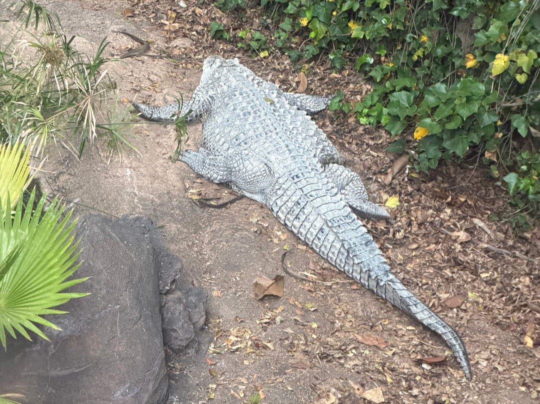 Park Las Aquilas Jungle Park-阿罗纳必去景点