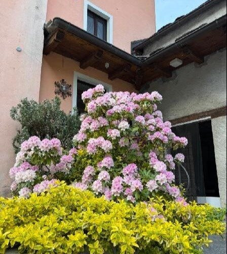OSTERIA VITTORIA主图