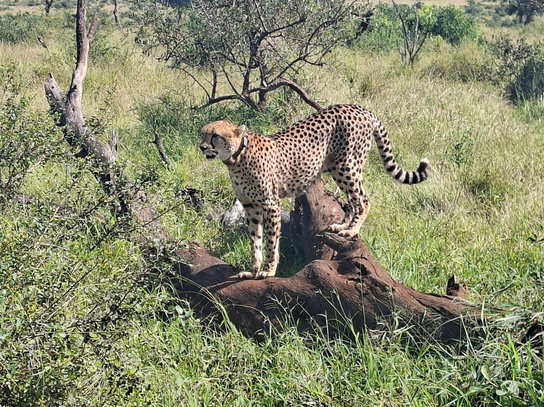 Discover Kruger Safaris-库马堤港必去景点