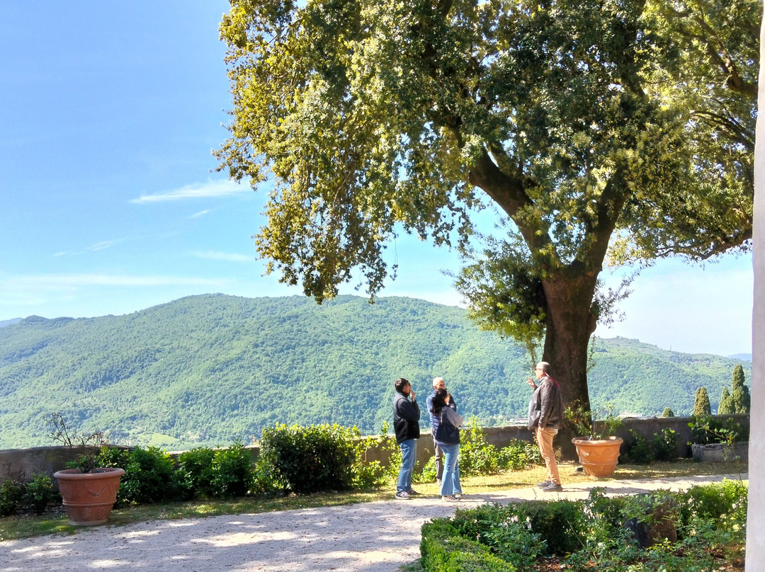 Del Gallo Castle and the Gardens of Horace-Mandela必去景点