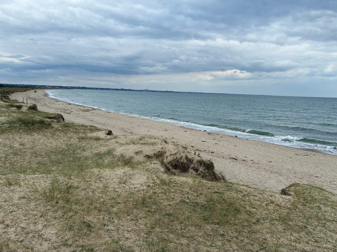 Studland beach and Nature Reserve-Studland必去景点