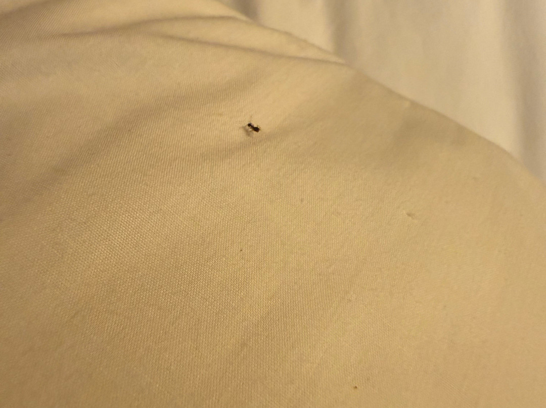 哈特福德温莎机场万豪万怡酒店主图