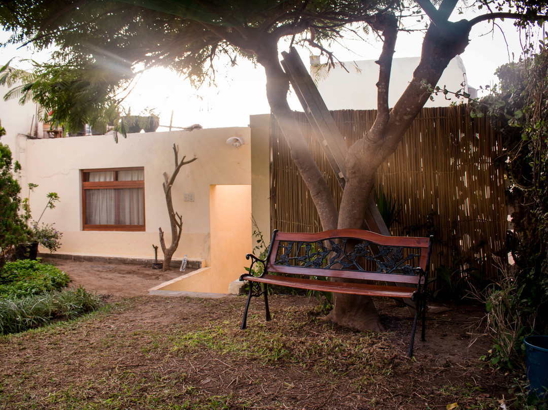 La casa de Isidora主图