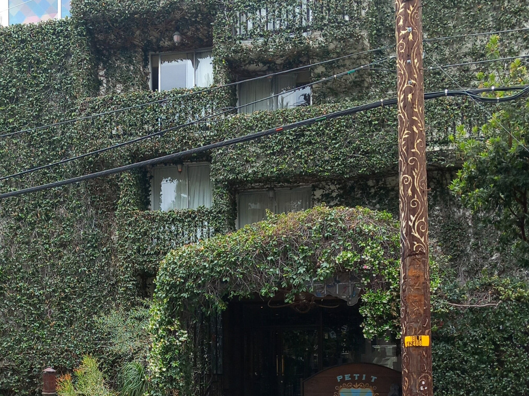 小厄米塔日酒店主图