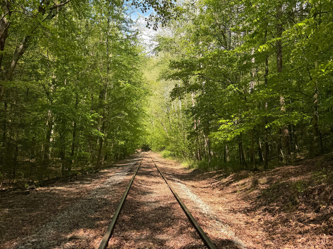 Rail Explorers: Elk River Division-Clay必去景点