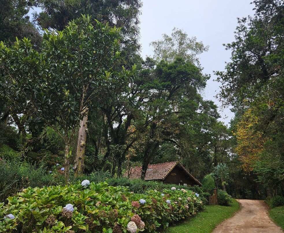 Bosque do Gato de Botas-蒙特贝尔德必去景点