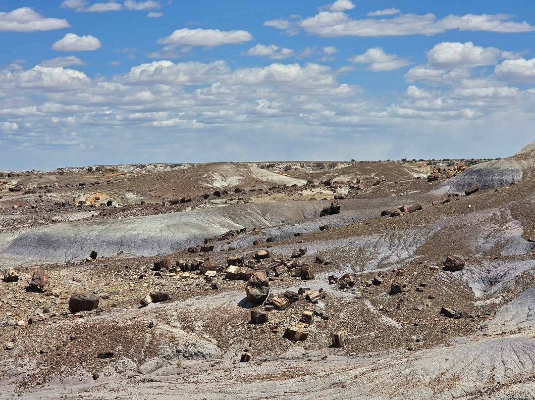 Petrified Forest National Park-霍尔布鲁克必去景点