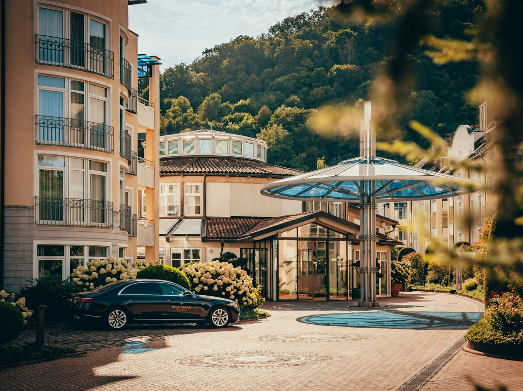 Dagobertshausen酒店住宿-Hotel Rosenpark