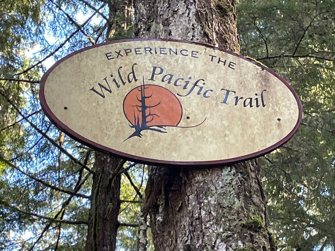 Wild Pacific Trail-尤克卢利特必去景点