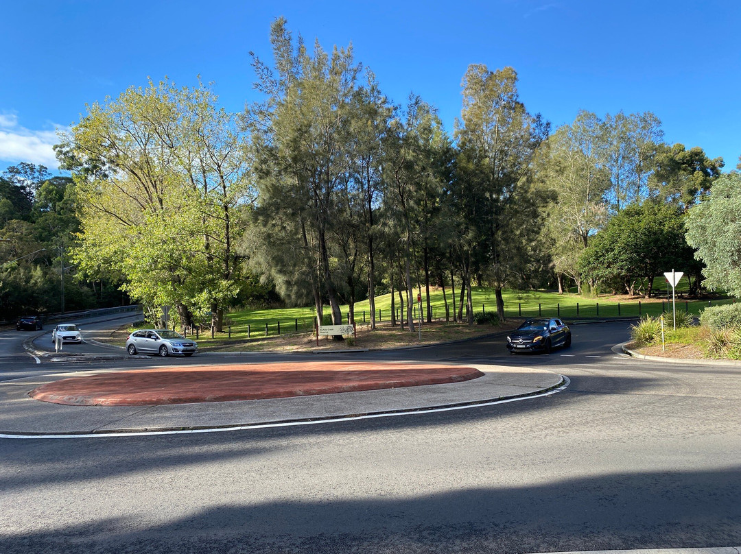 Buffalo Creek Reserve
