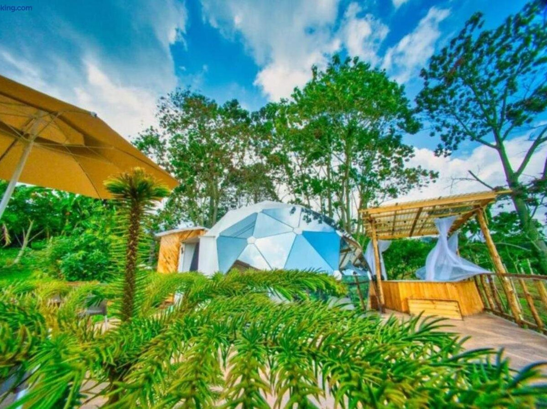Wallaby Glamping