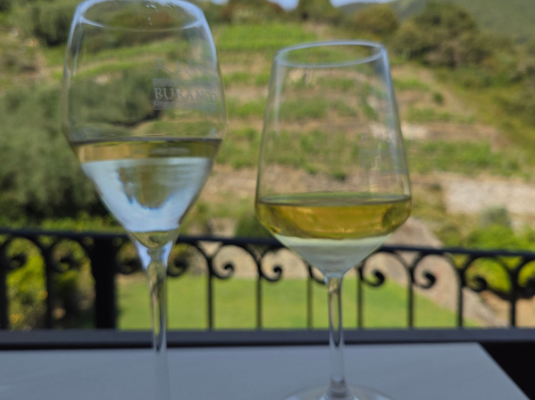 Buranco Agriturismo-滨海蒙特罗梭必去景点