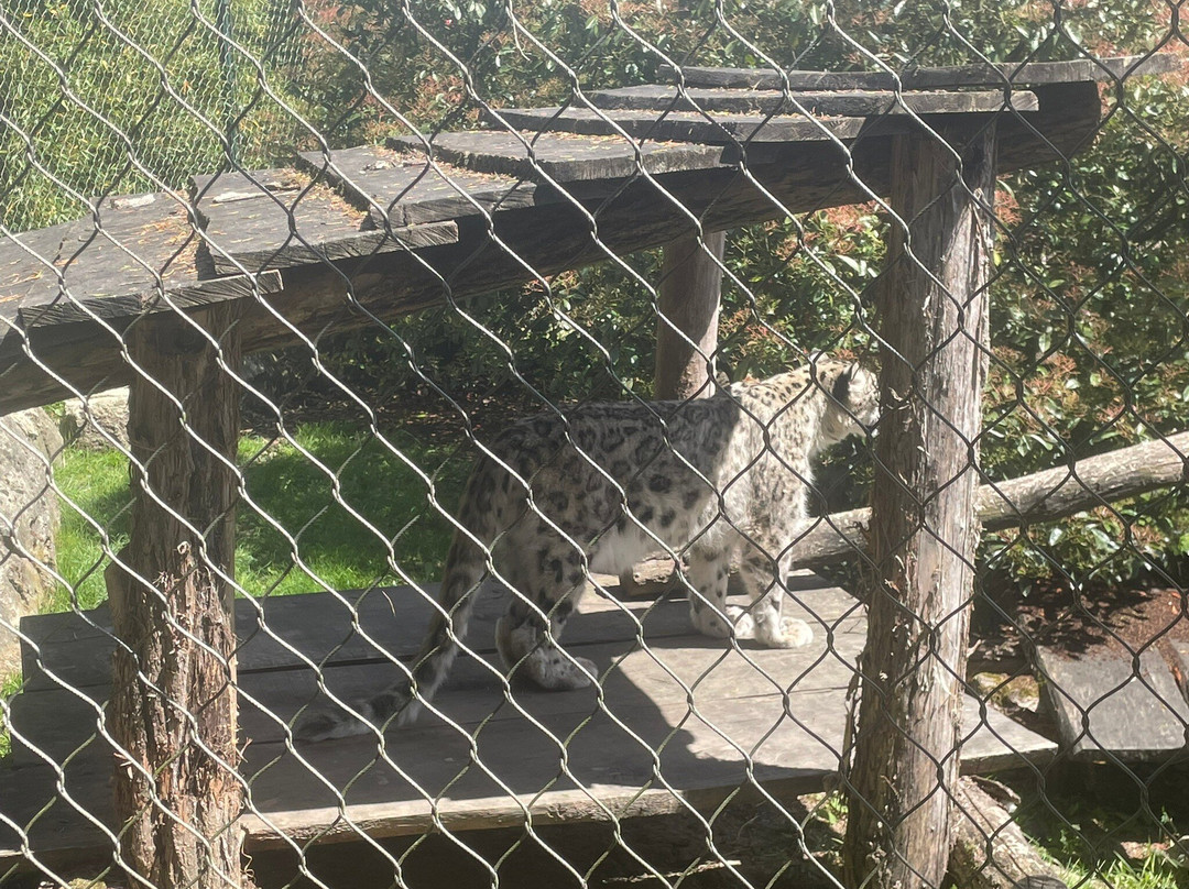ZooParc de Beauval-圣艾尼昂必去景点