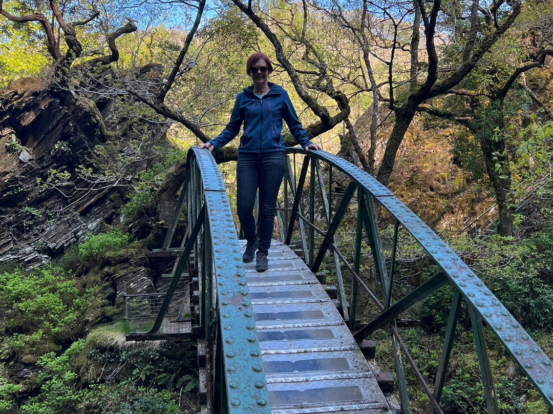 Devil's Bridge Waterfalls-Devil's Bridge (Pontarfynach)必去景点