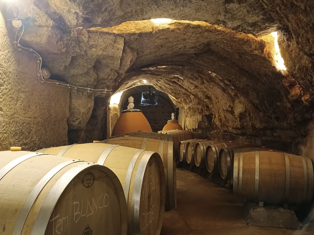 Bodega La Cueva del Castillo-Labastida必去景点