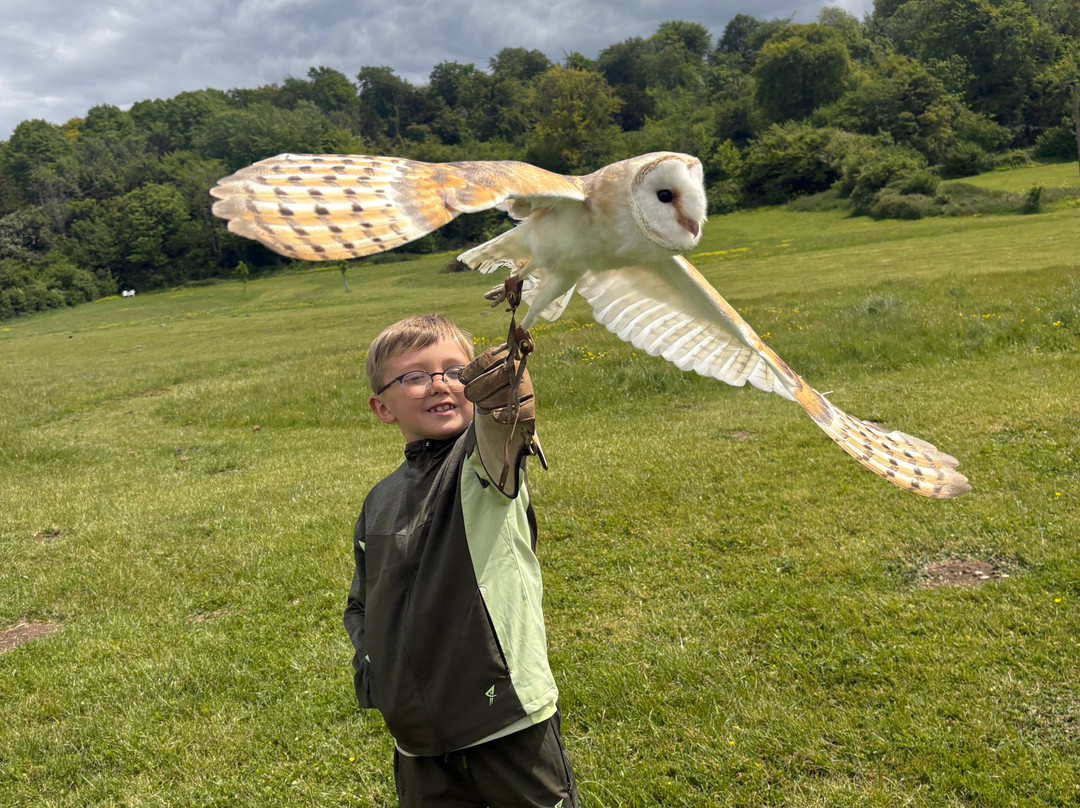 West Sussex Falconry-Compton必去景点