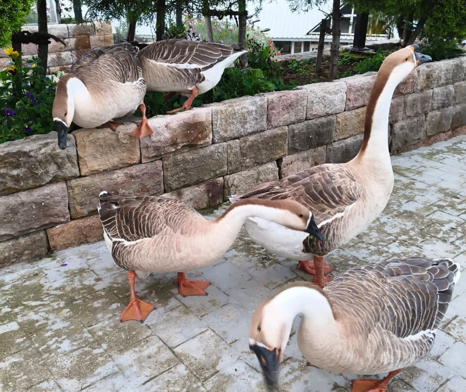 Jiva Resort主图