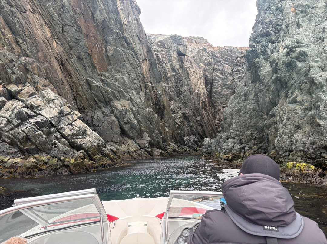 Old Salty Dog Excursions-Bay Roberts必去景点
