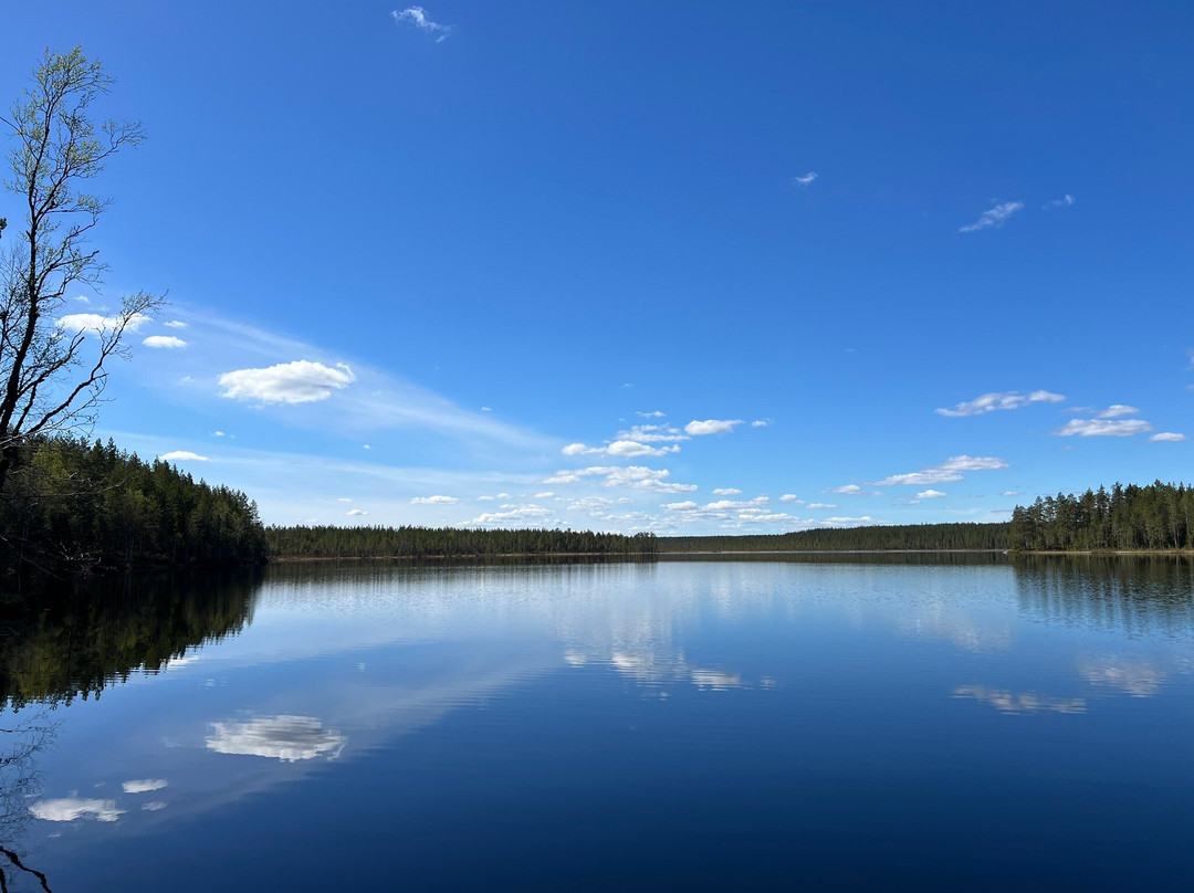 Kulhanvuori Hill Nature Reserve-Saarijärvi必去景点