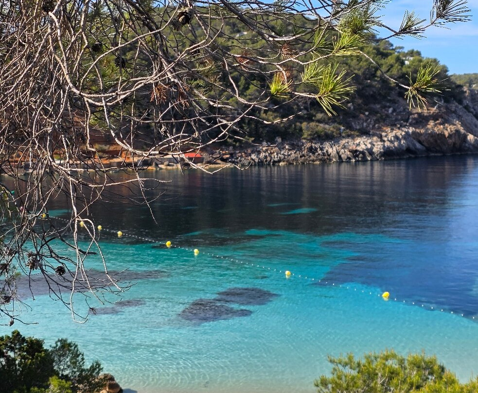 Cala Saladeta-圣安东尼德波特曼尼必去景点