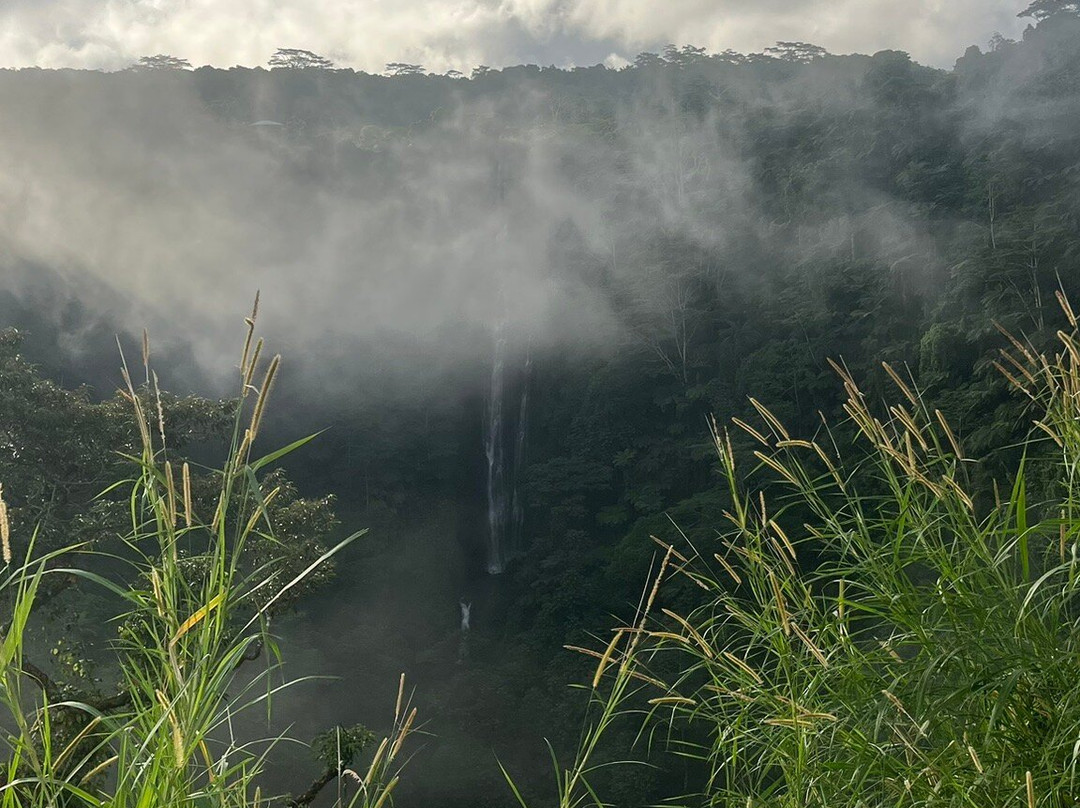 Papapapaitai Falls-阿皮亚必去景点