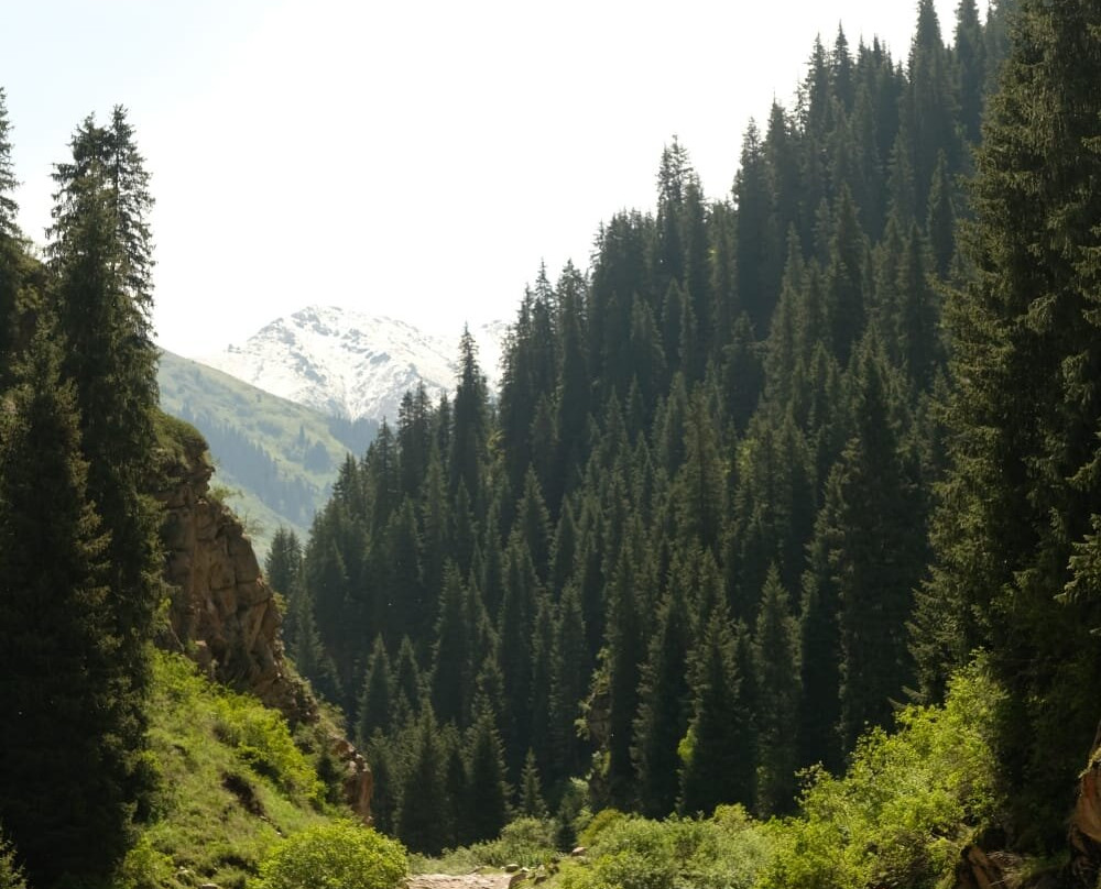 Kyrgyz Riders Travel Company-Kochkor必去景点