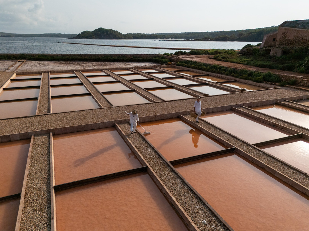 Sal de Menorca - Salinas de La Concepción