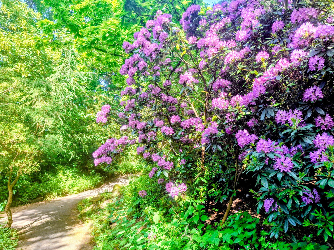 Hesketh Park-绍斯波特必去景点