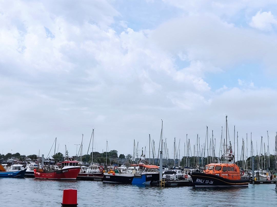 Amble boat trips-Amble必去景点
