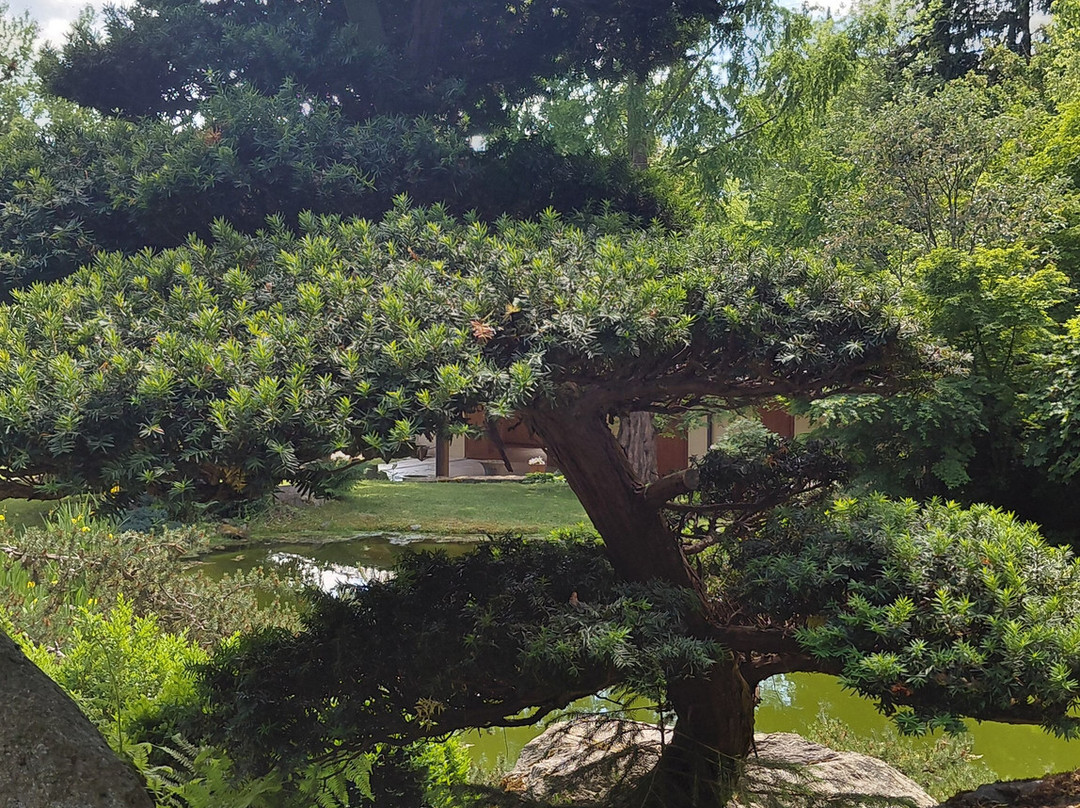 Bonsaimuseum-湖底城必去景点