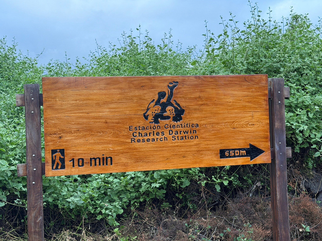 Charles Darwin Research Station-阿约拉港必去景点