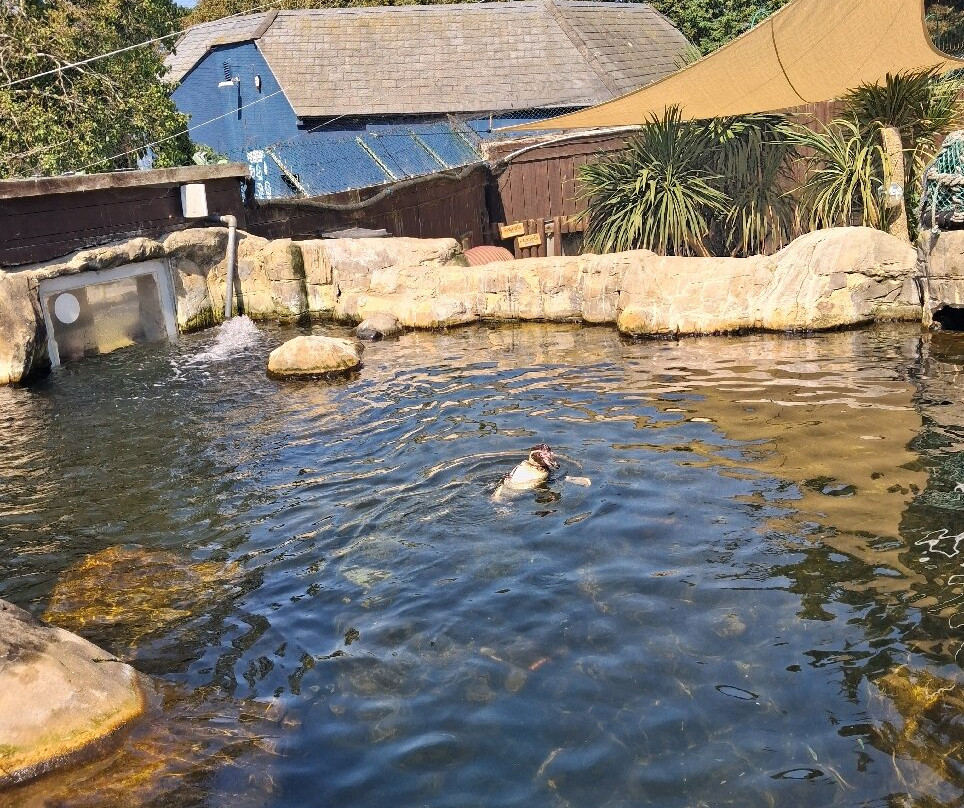 Weymouth SEA LIFE Adventure Park-韦茅斯必去景点
