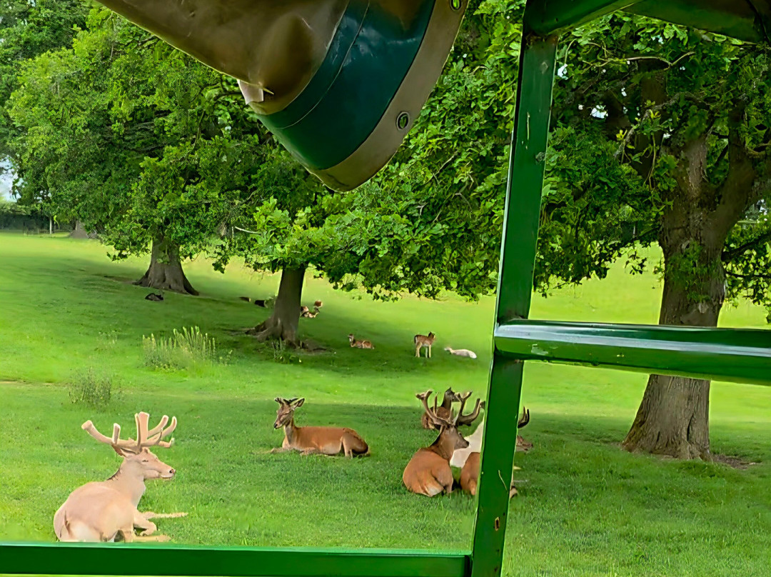 Bucklebury Farm Park-Bucklebury必去景点