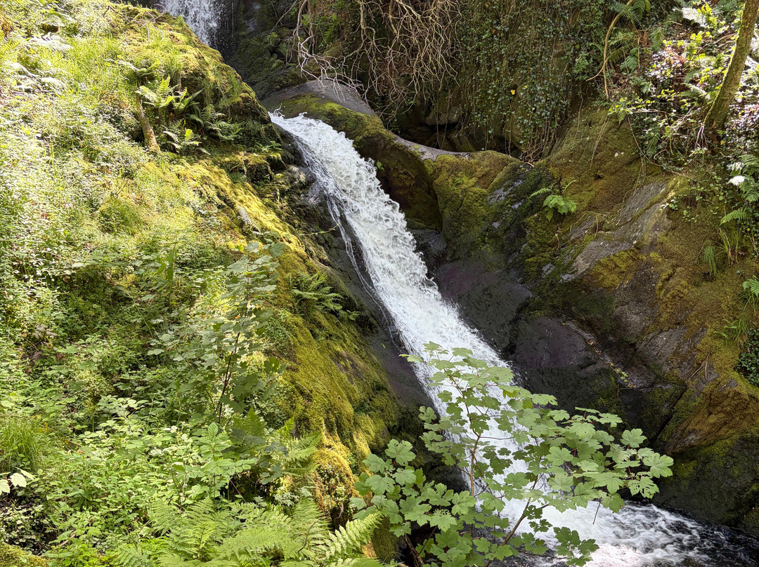 Dolgoch Falls-雪墩国家公园必去景点