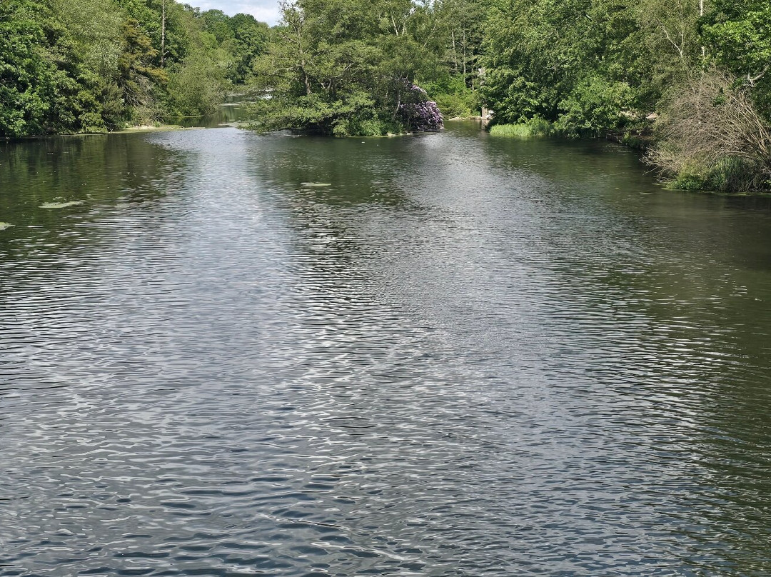Clumber Park-沃克索普必去景点