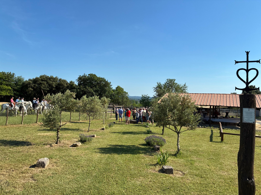 Manade Devaux-Garrigues-Sainte-Eulalie必去景点