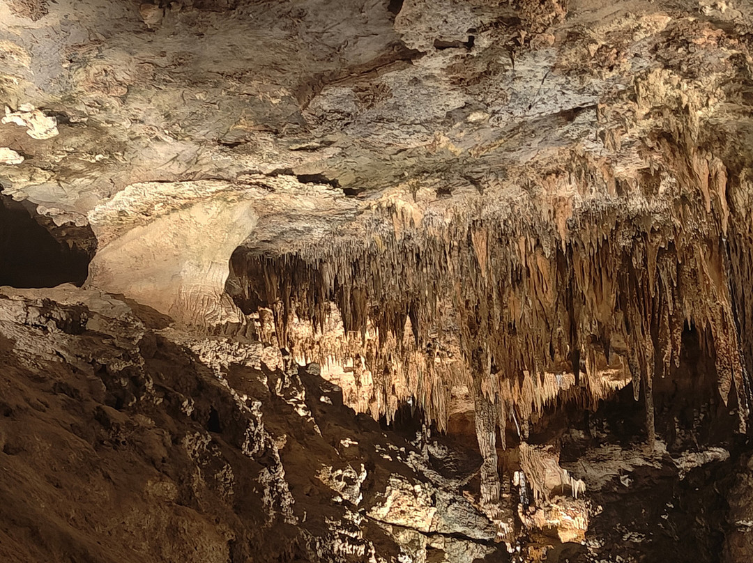 Luray Caverns-卢雷必去景点