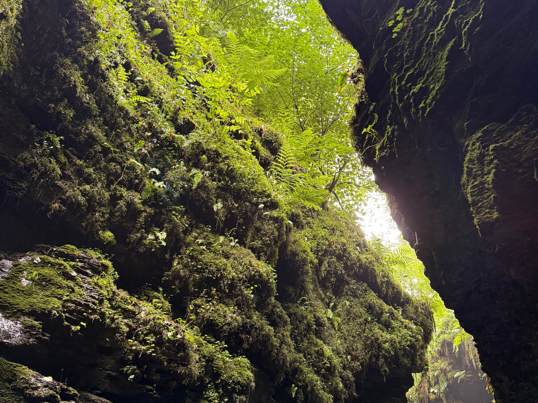 Lydford Gorge-Lydford必去景点