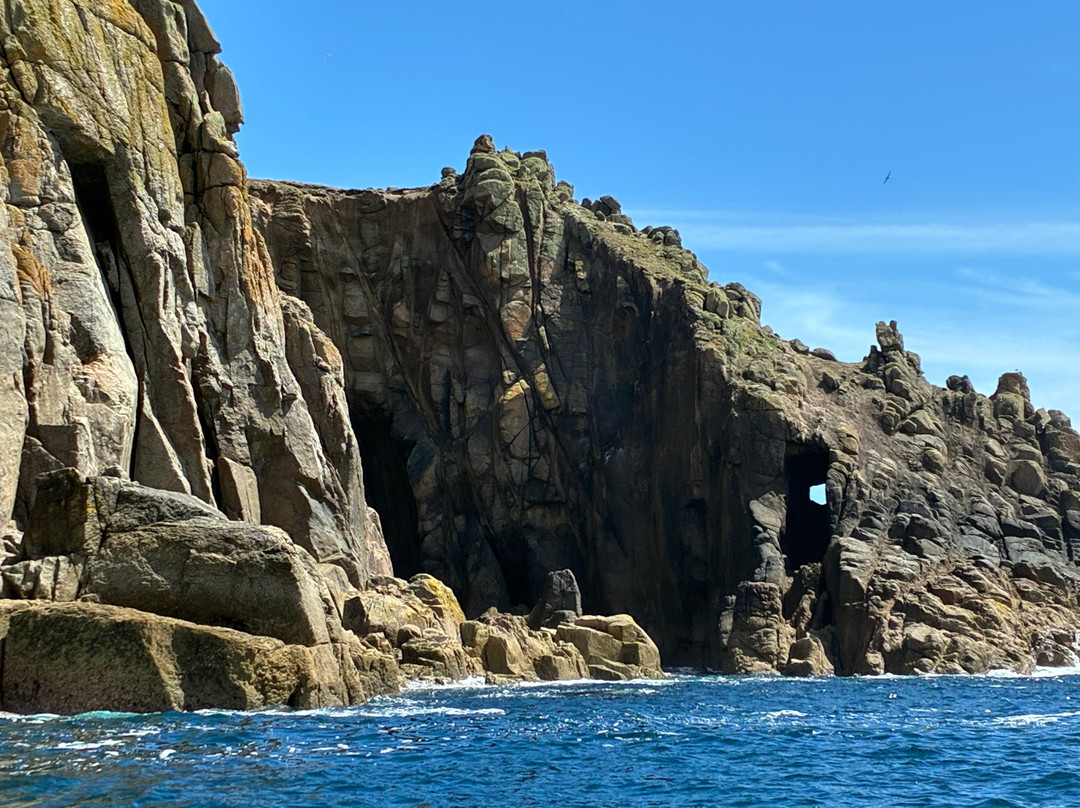 Coast Boat Trips in Cornwall-圣艾维斯必去景点