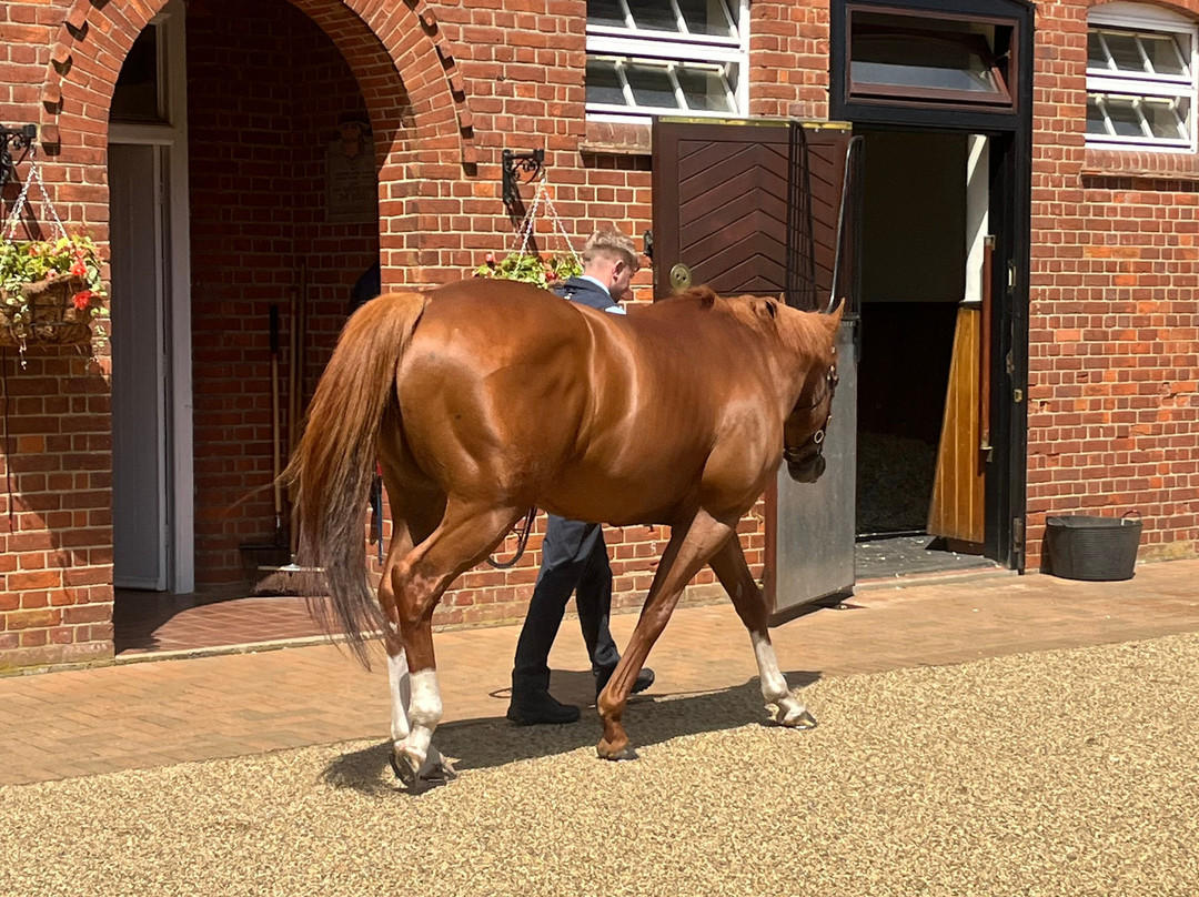 Discover Newmarket Tours-纽马克特必去景点
